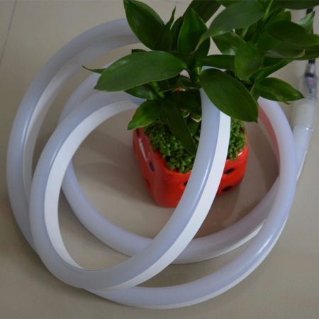 NEON LED FLEX IP68 24 Volt 11x19 mm RGB